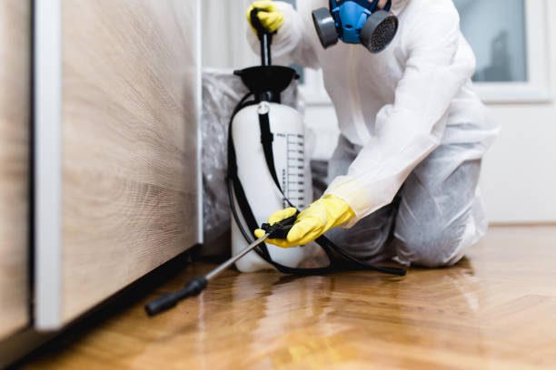 Best Flea Control Services  in Edmonds, WA
