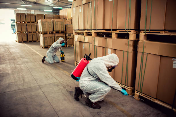 Best Affordable Pest Control Services  in Edmonds, WA