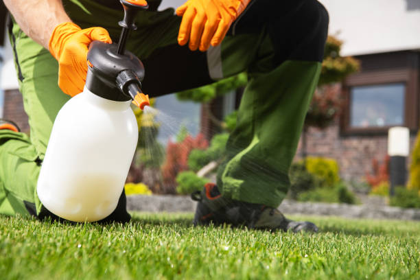Insect Control in Edmonds, WA