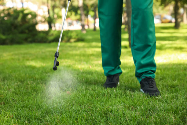 Best Affordable Pest Control Services  in Edmonds, WA