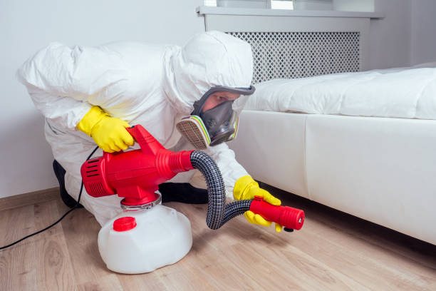 Best Affordable Pest Control Services  in Edmonds, WA