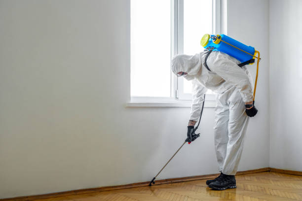 Professional Pest Control in Edmonds, WA