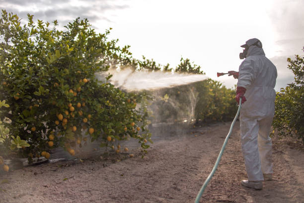 Pest Control for Restaurants in Edmonds, WA