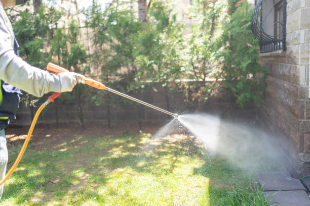Best Pest Control Near Me  in Edmonds, WA