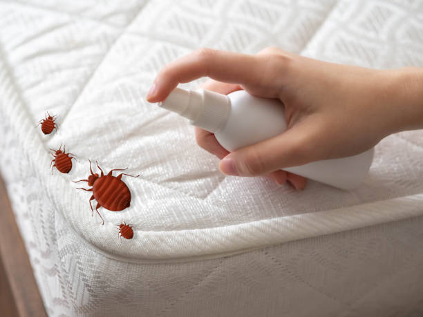 Best Pest Inspection Near Me  in Edmonds, WA