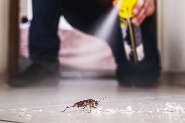 Best Bed Bug Extermination  in Edmonds, WA
