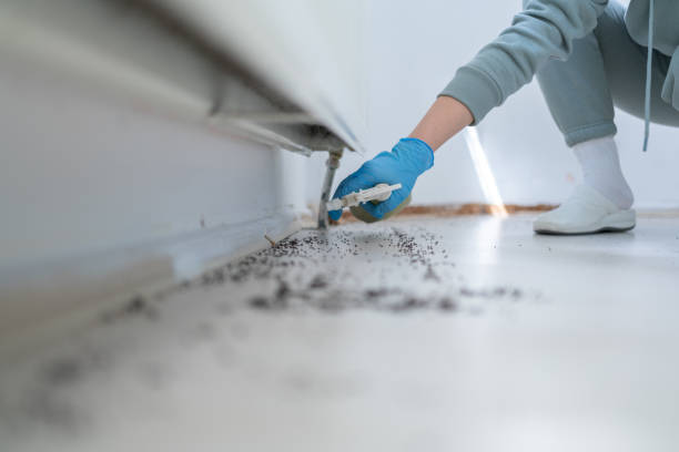 Best Pest Control for Restaurants  in Edmonds, WA